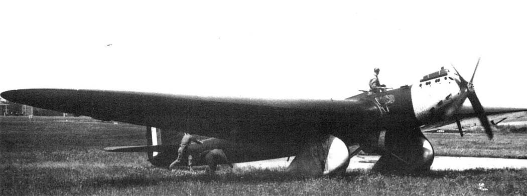 Bernard 80