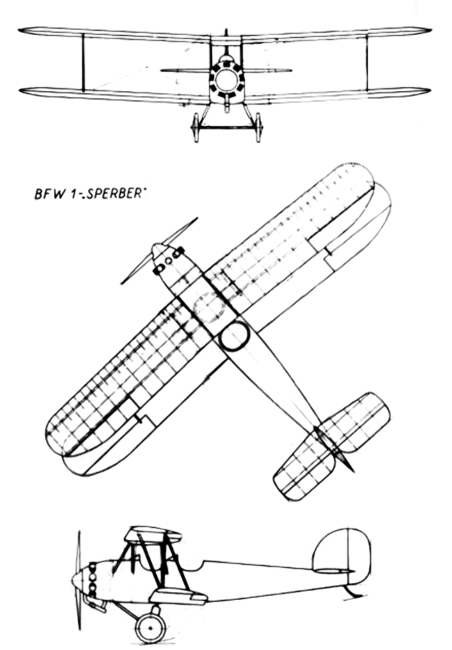 BFW-1 Sperber