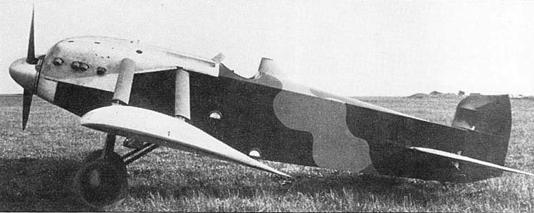 VN-19
