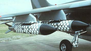 BLG66 Belouga