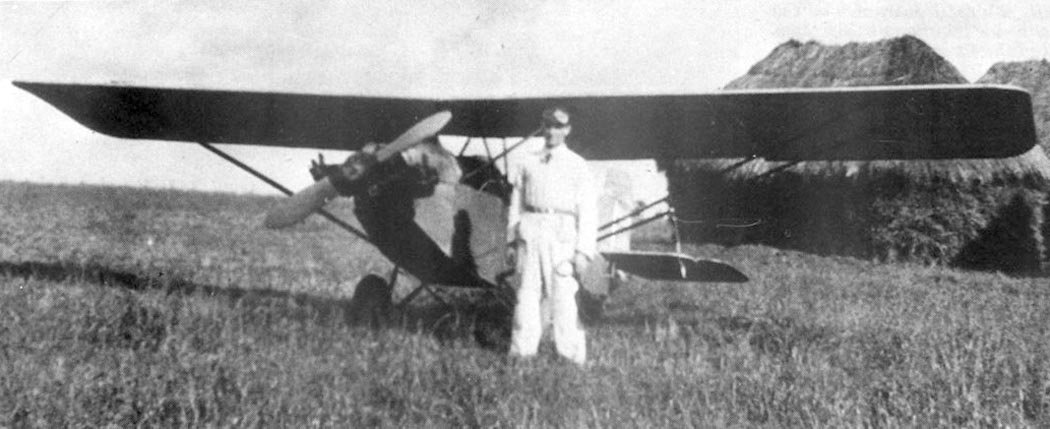 Herrerillo común