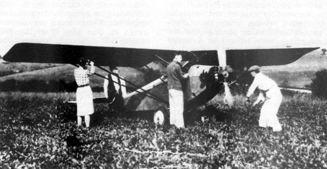 Herrerillo común