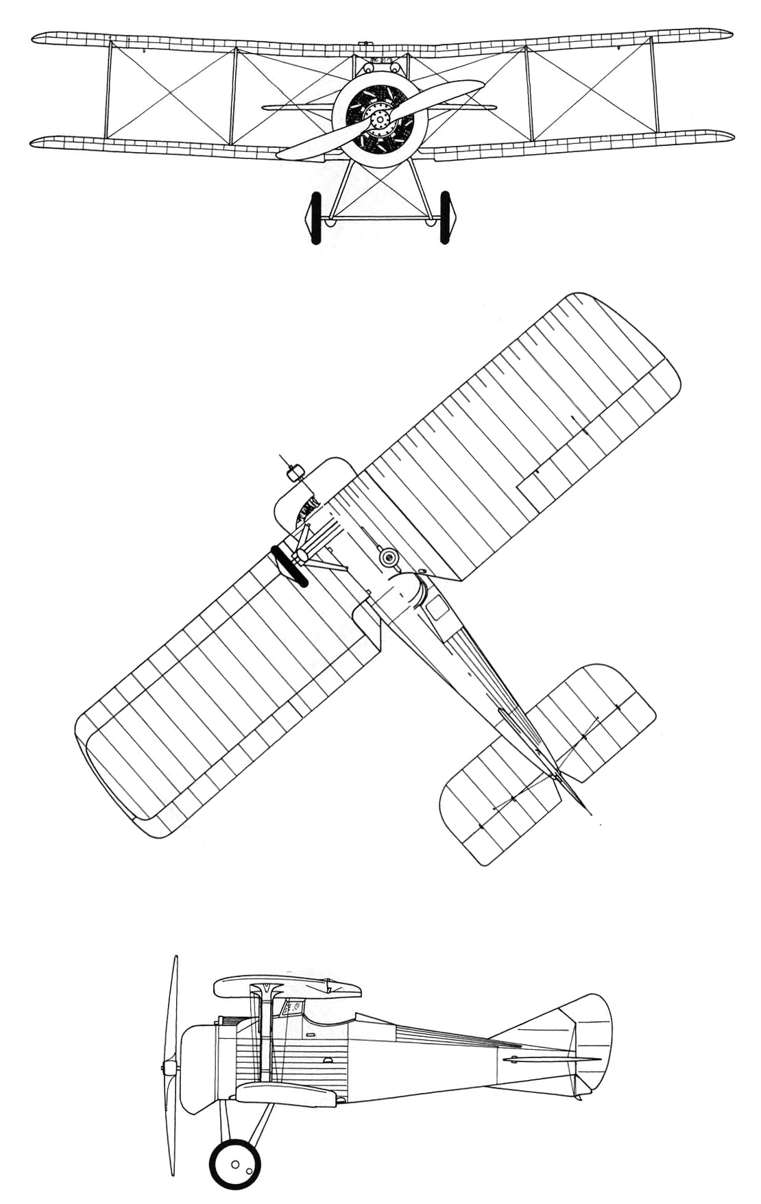 BN.1