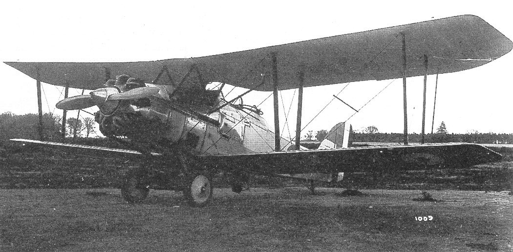 Sabueso de jabalí