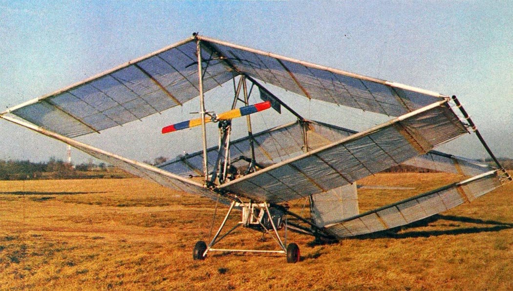 Boxmoth