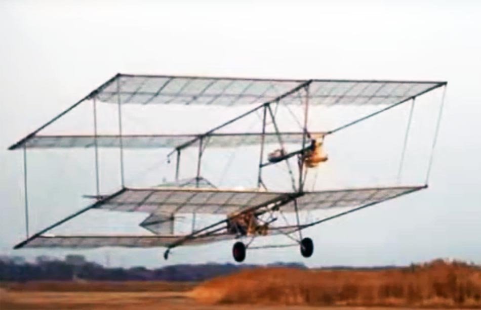 Boxmoth