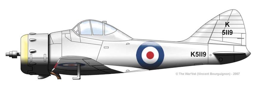 Brisrol 146