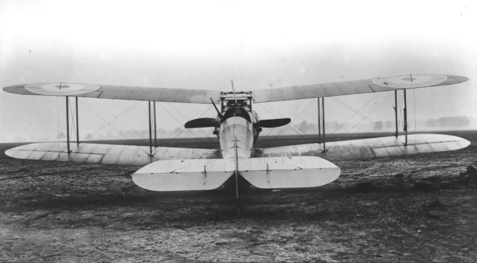 Bulldog