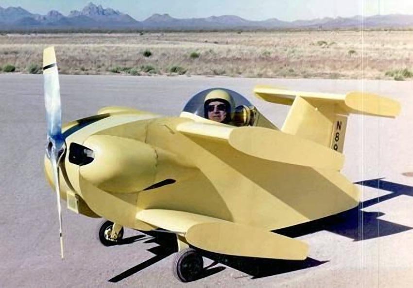 Bumble Bee