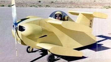 Starr Bumble Bee II