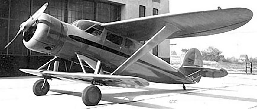 BY-1
