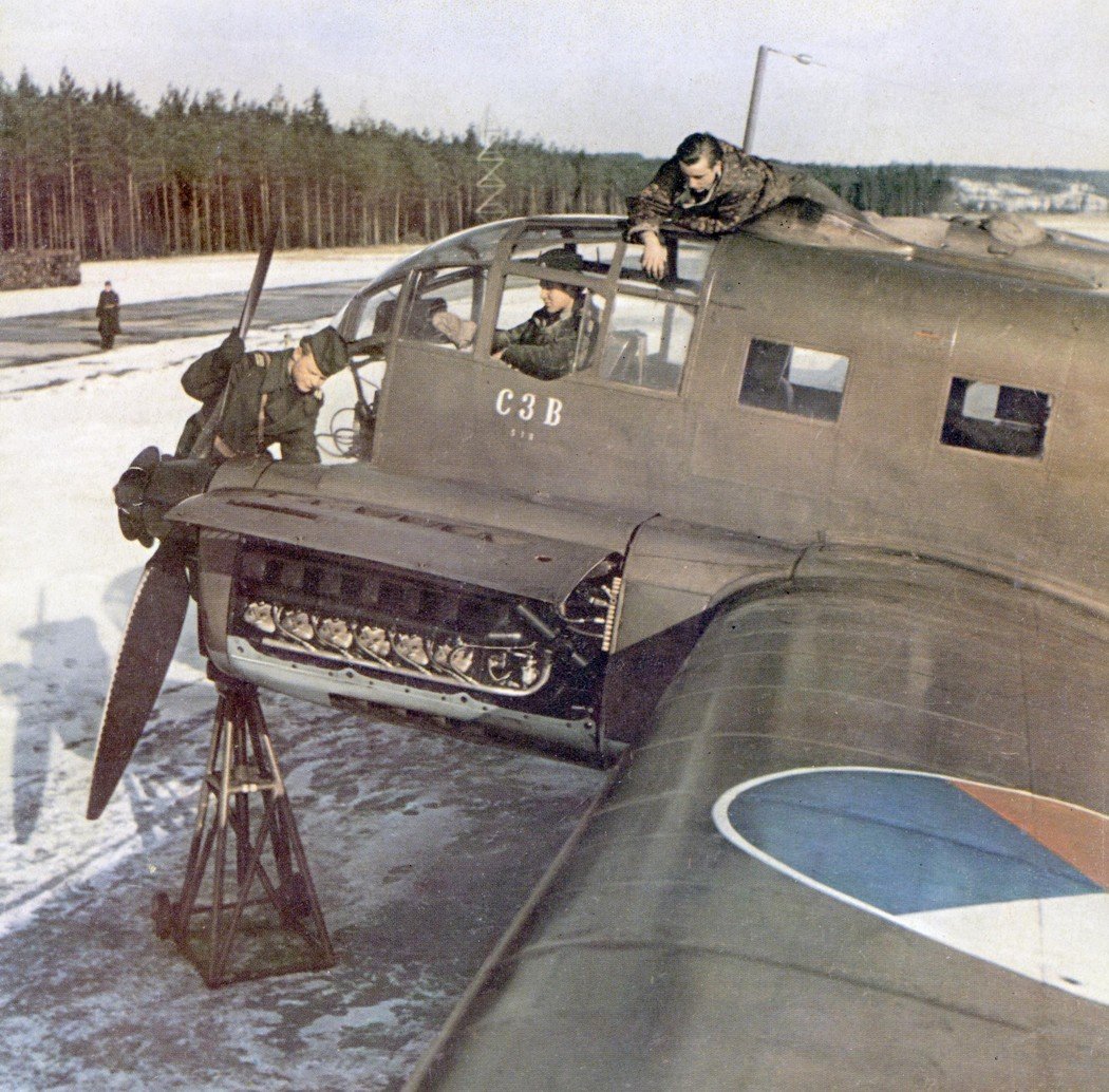 C-3