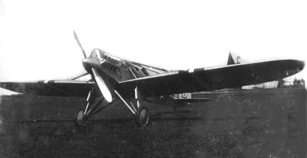 C-3 Kurzemes Hercogiene, Latvian long-range aircraft