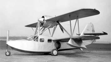 Courtney Amphibian 1