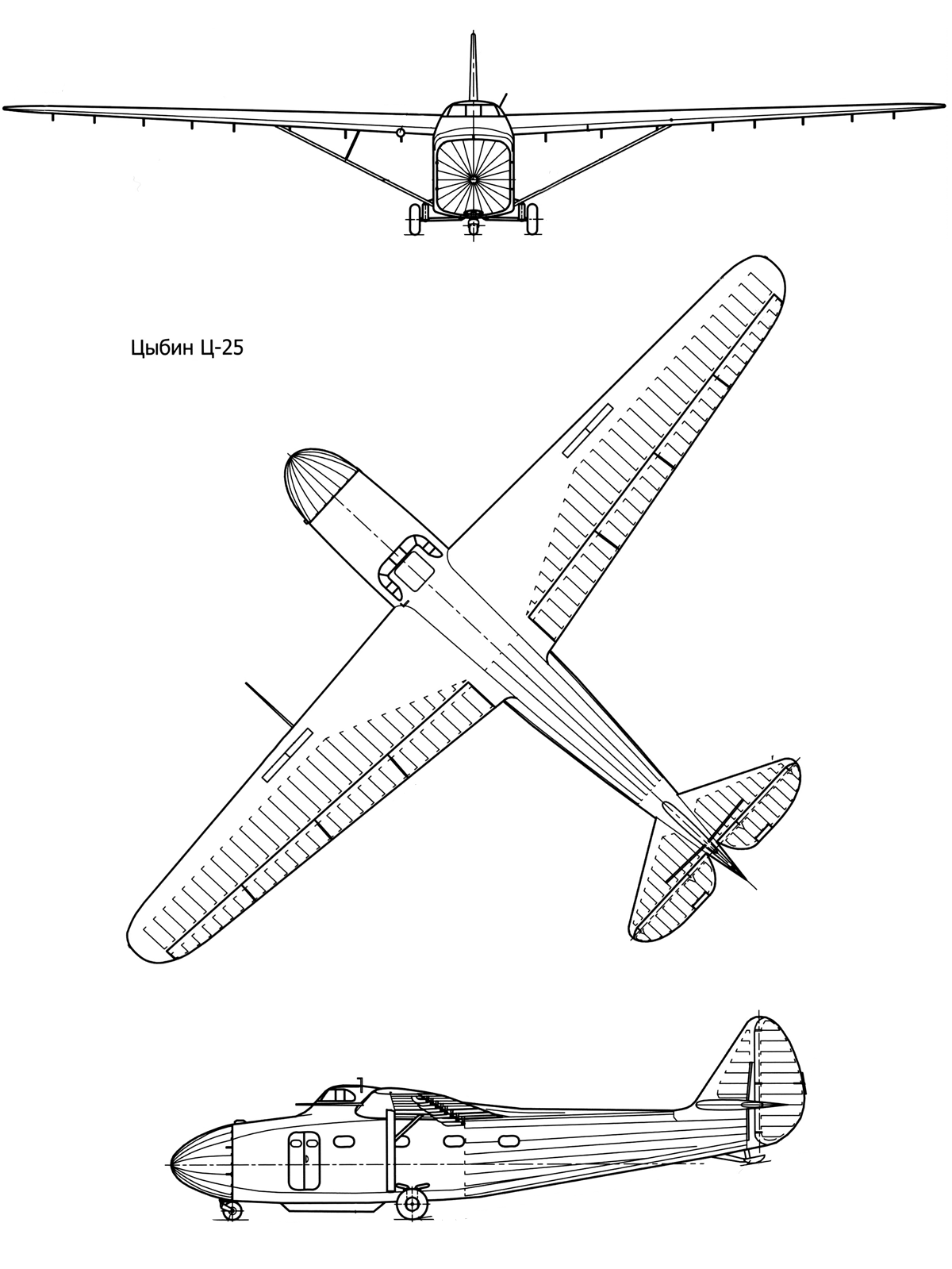 Ts-25